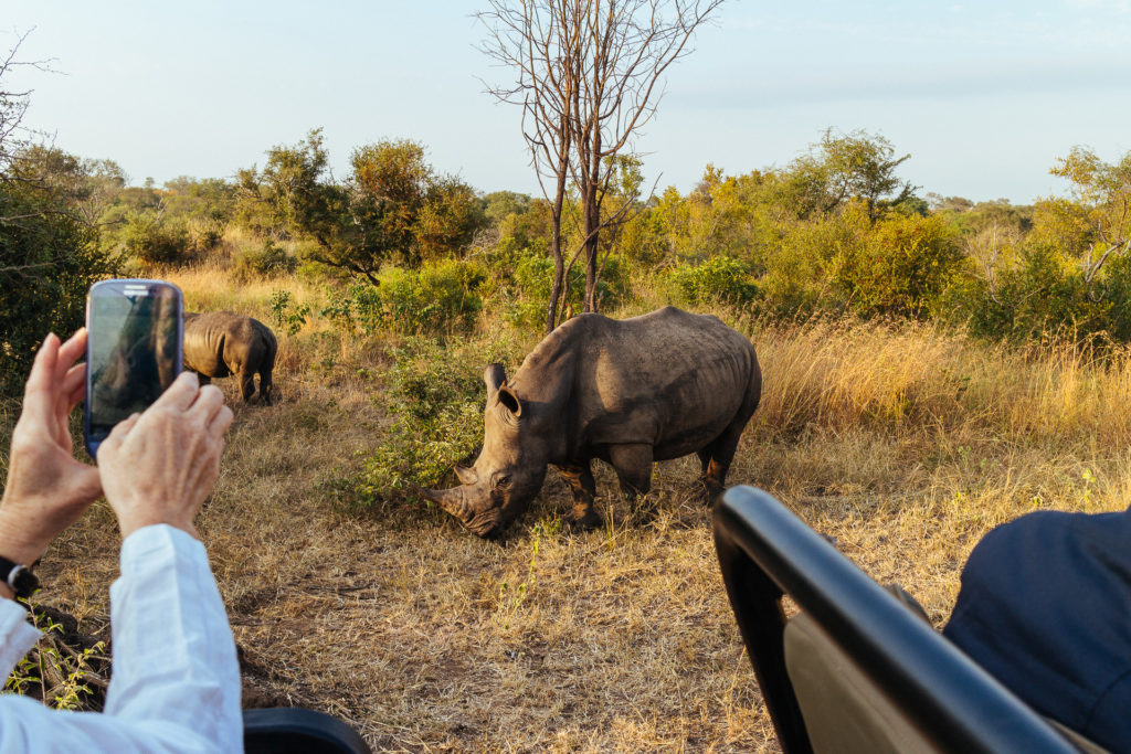 Rhinoceros, Umkumbe Safari Lodge, South Africa