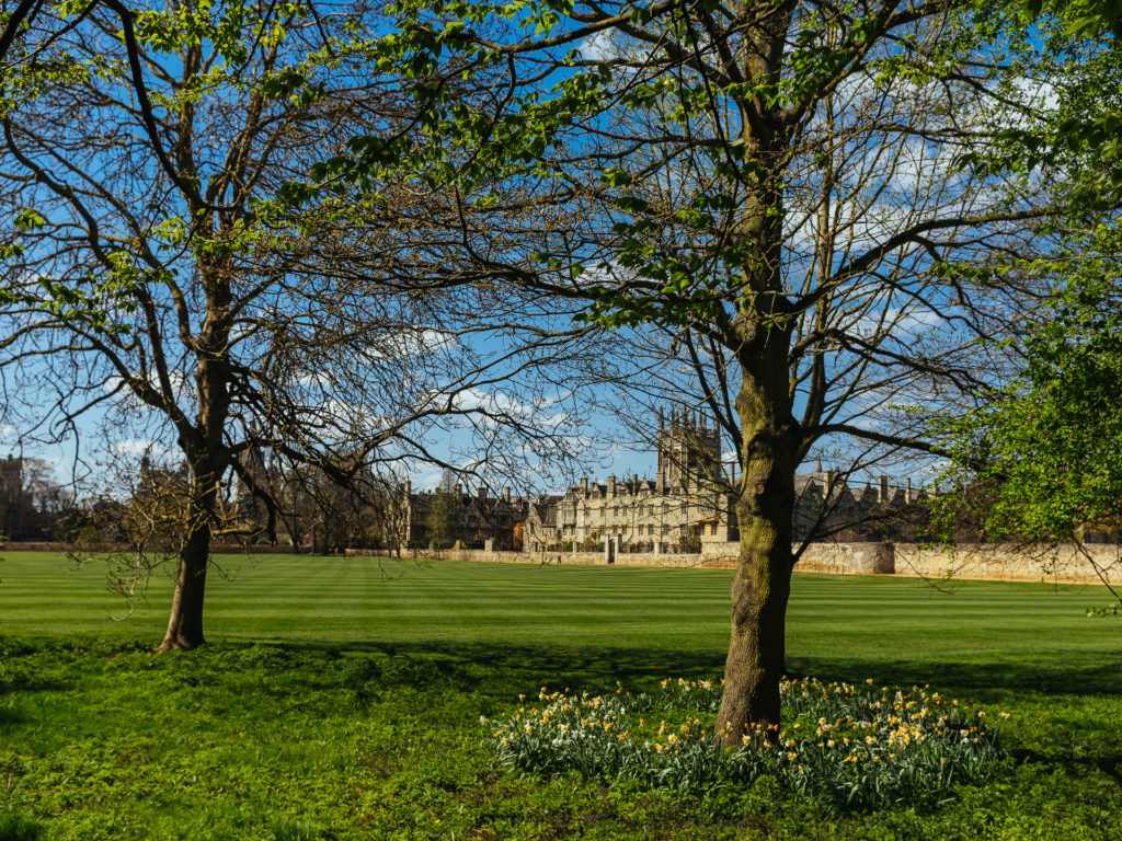 Gardens in Oxford