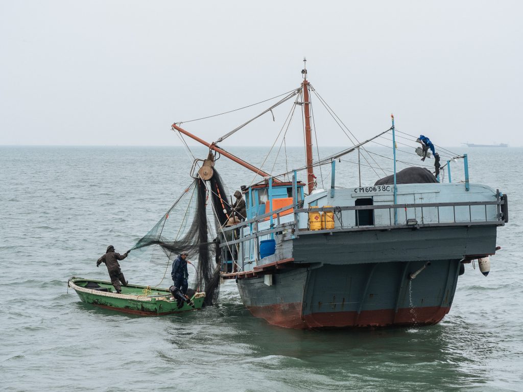 Fishermen in Hong Kong bay