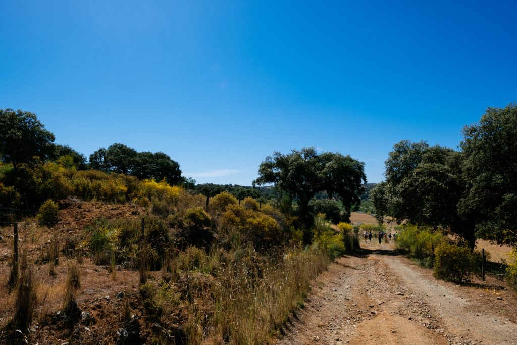 Portugal - Alentejo - Randonnée - Hiking - Trekking
